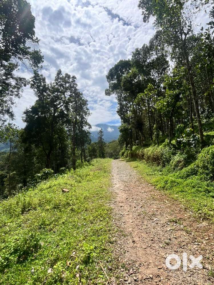 Wayanad vythiri 35 cent chembra peak facing land selling