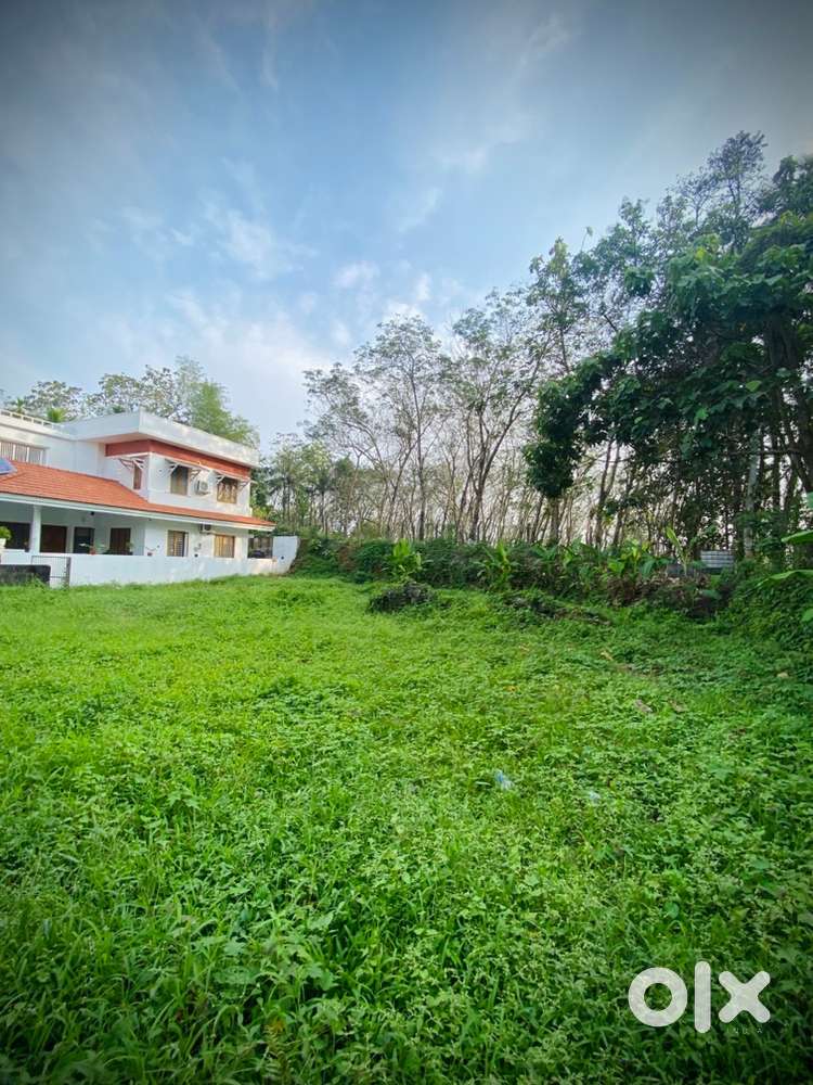  13 Cent Residential Plot for Sale – Kothamangalam (Thankalam Road)