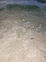 Raipur , makkhanpur petrol pump ki brabar wali colony k piche