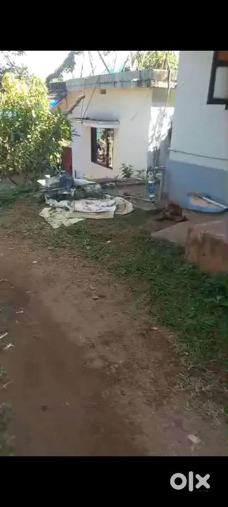 Old odu house 5 cent land mannamkuzi