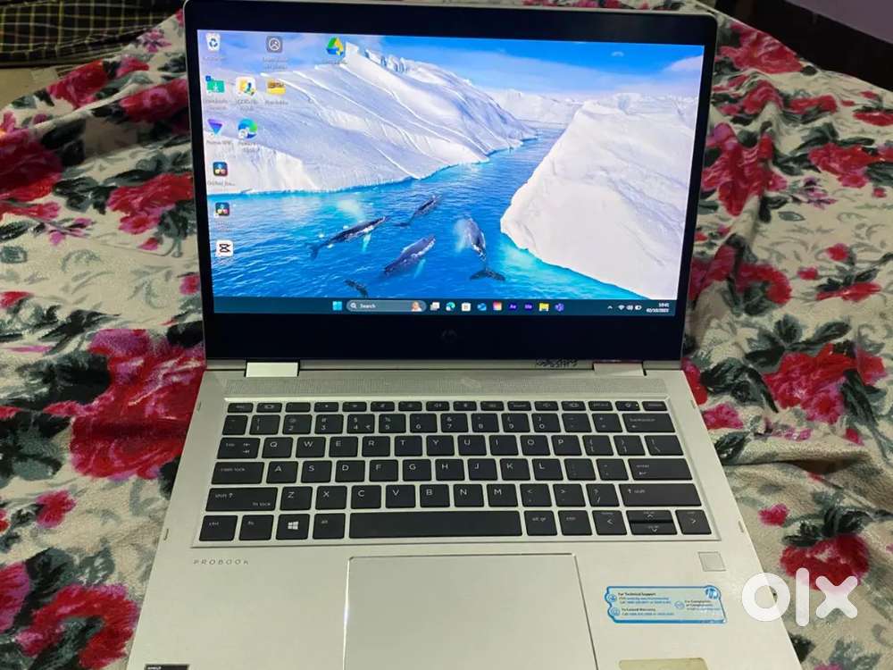Probook hp