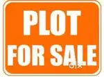 Plot in sahjanwa behind old sbi . Near Raman public school