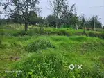 5 acres estate for sale in kodaikanal