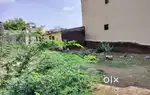 2250sq.ft free hold plot available for sale at harmu housing colony