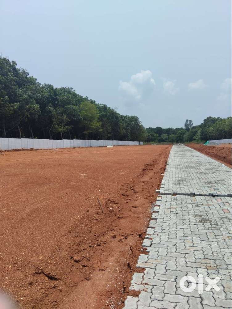 PARAMBU PLOT FOR SALE AT PALAKKAD IN 12+ LOCATION