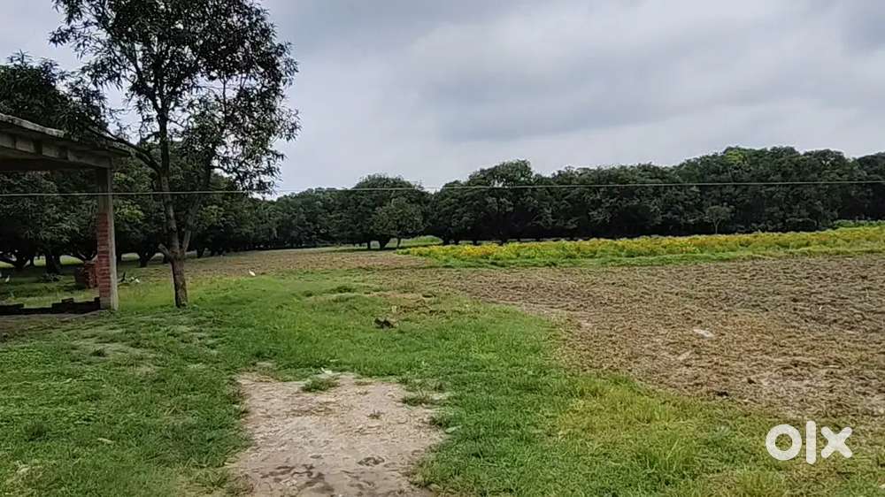 खेत, बाग और फार्म हाउस के लिए जमीन खरीदे सबसे सस्ते रेट मे