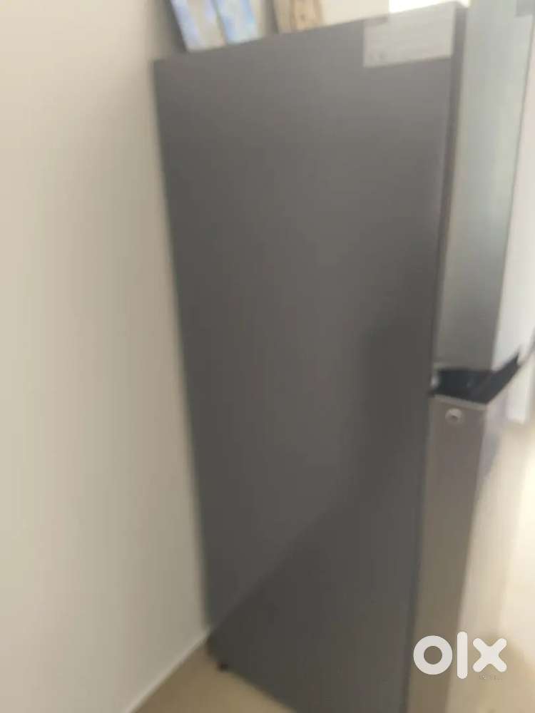IFB REFRIGERATOR