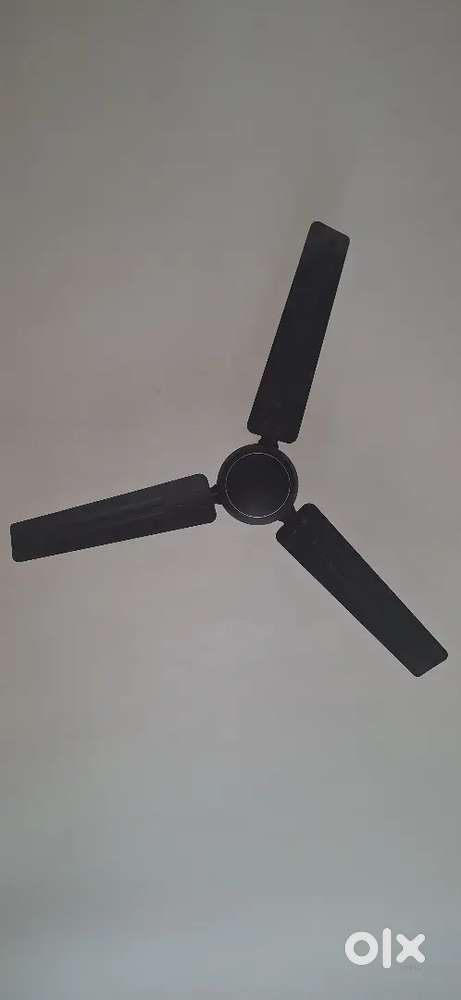 Electric fan