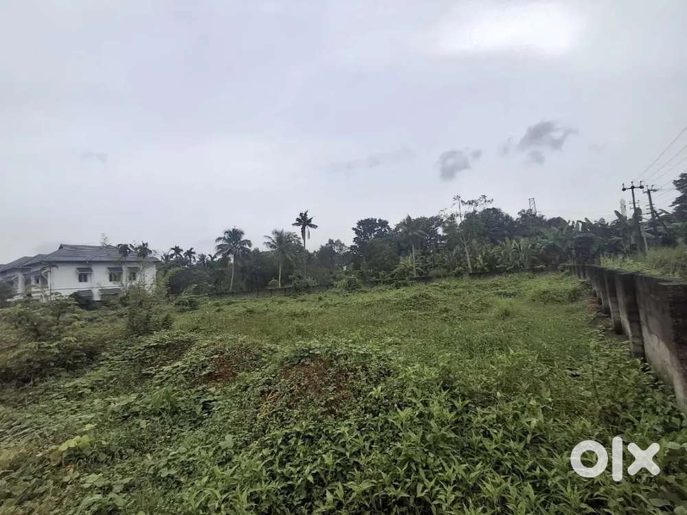80 CENT RESIDENTIAL PLOT FOR SALE AT POKATTYPADI