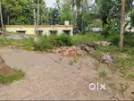 5 cent plot for sale, roadside Omassery-Thiruvambady