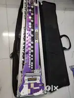 Qawwali Banjo (Bulbul Tarang)