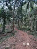 1.25 acre land sale near adyar garden 7lack per cents