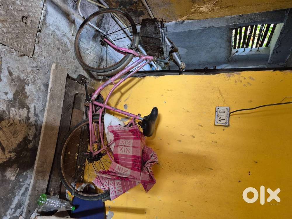 LadyBird Cycle for Sale