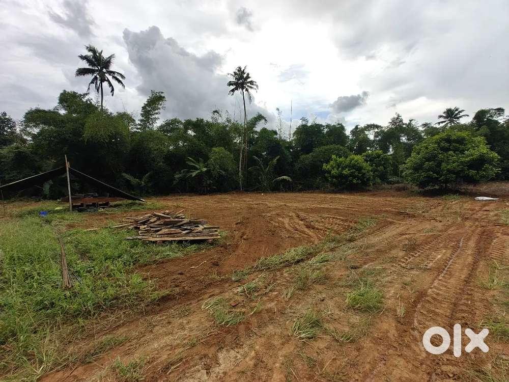 കദലിക്കാട് അടുത്ത് 12.700 സെൻറ് സ്ഥലം