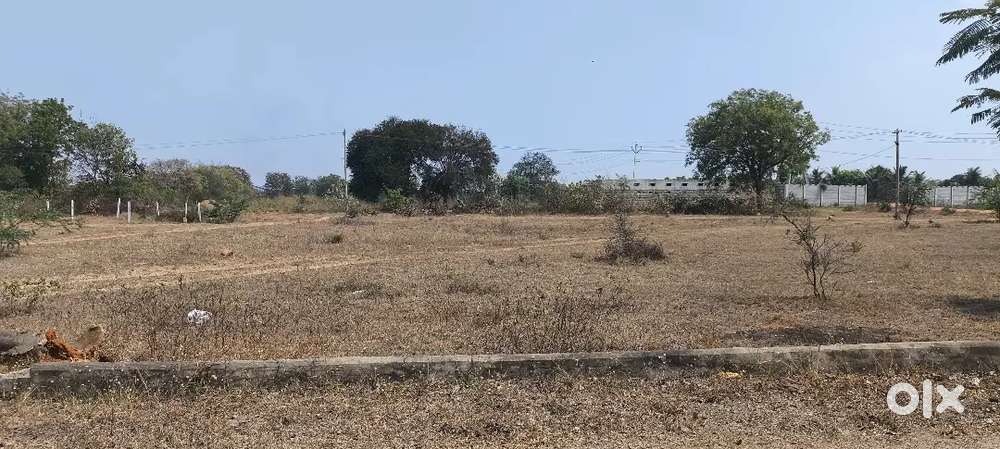 Urgent sell only buyer's call me