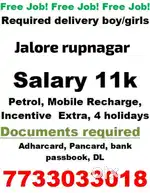 Parcel delivery boy
