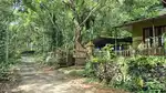 24 cent of  land and house for sale