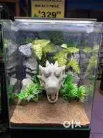 Aquarium Tank cleaning
