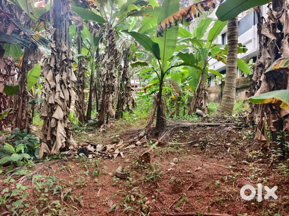 IDK-232023 Plottable 6.95 Cent Dry Land For Sale At Muttada