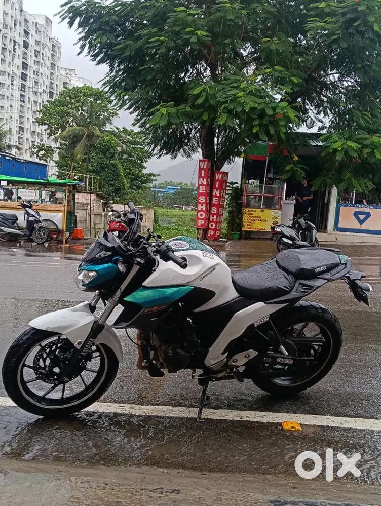 Yamaha FZ250 bs4
