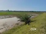 Investment Plot