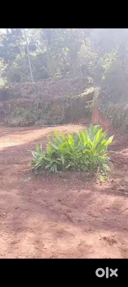 27½ Cent സ്ഥലം വില്പനയ്ക്ക്