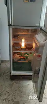 Sale my Freeze
