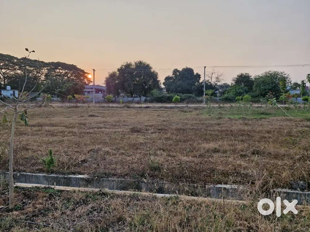 211 sq yards east face 29 plot no for sale sujathanagar