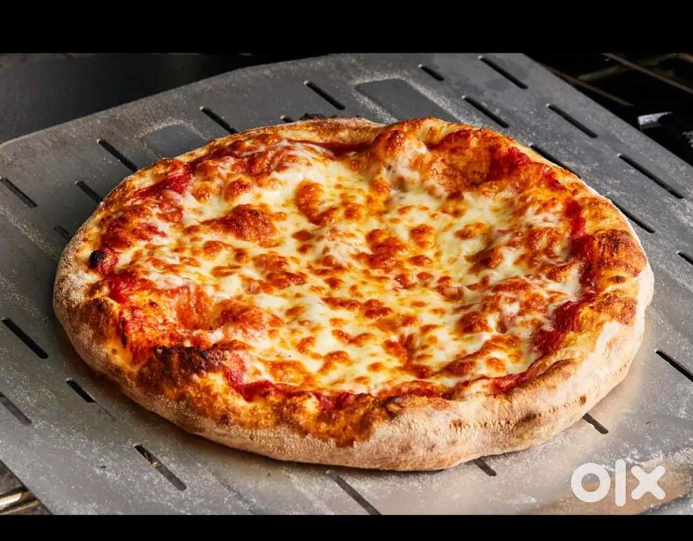 Pizza_delivery -expert for dominos