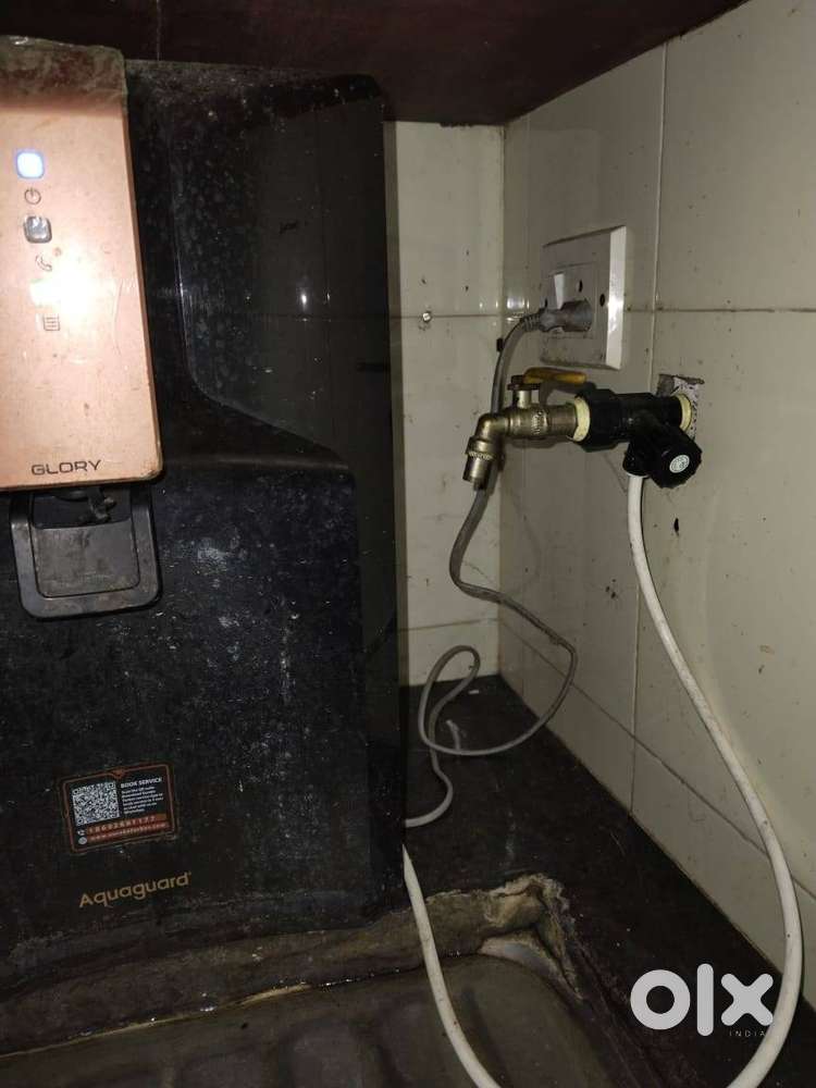 Water purifier