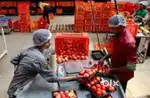 Wanted male/female  warehouse packing staffs [ night/ day]