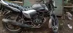 Yamaha saluto