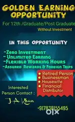 Work from home free lancer