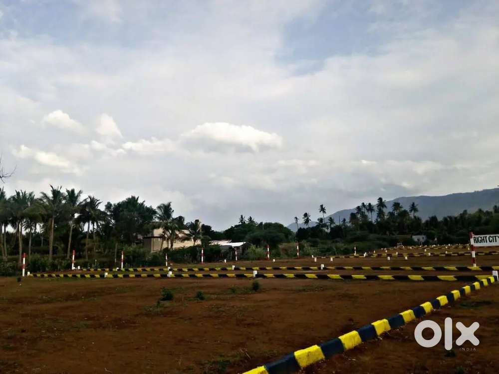 DTCP Approved Plot,Reddiyapatty, Dindigul