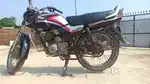 Tvs victor