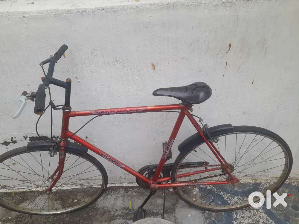 Sports cycle
