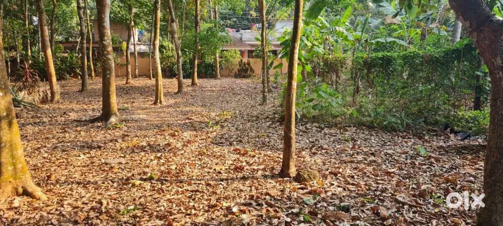 Plot for sale ideal for house 13 cent