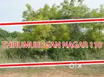 Urgent sale immediate buyer
