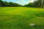 Tonk pahatak 100 gaj JDA south facing plot 20*45