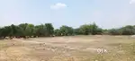 Agriculture land for sale (1 gunta bits) at musrifa village, Kosgi mdl