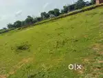 अर्जेंट बेचना है दतिमा मे 90डिसमिल जनरल प्लाट