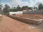 Plot near chempazhanty 5 cent 7.9 lakhs