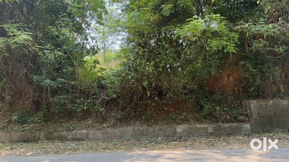 Property For Sale (Bagga) kuther
