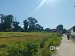 आवासीय भूखंड