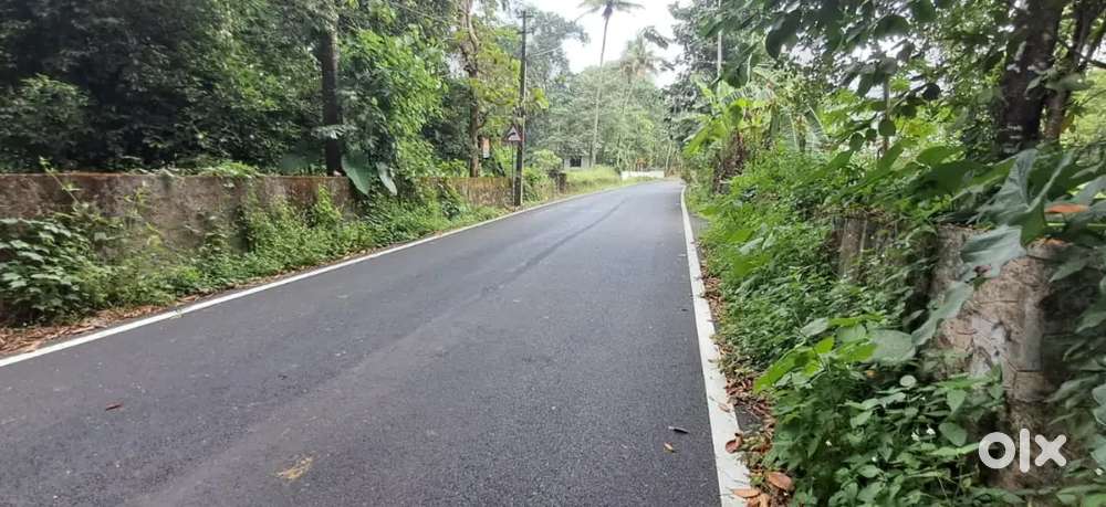 Angamaly mookkannoor 28 cent bus route frontage 28 cent land for sale