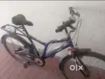 Razorback Cycle