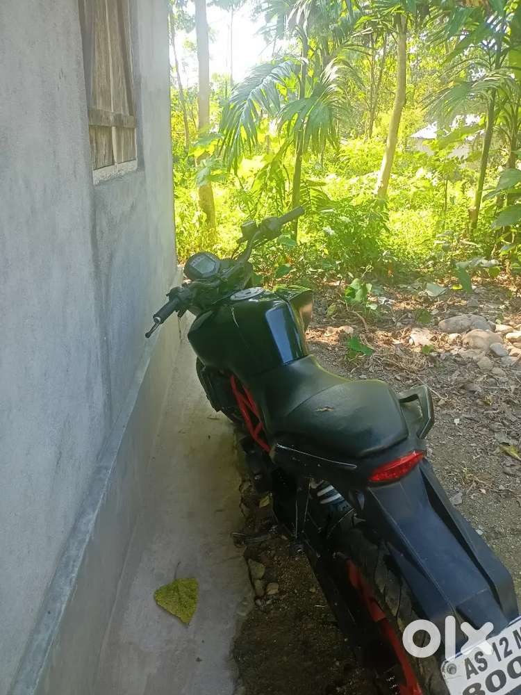 Duke 390 bs3