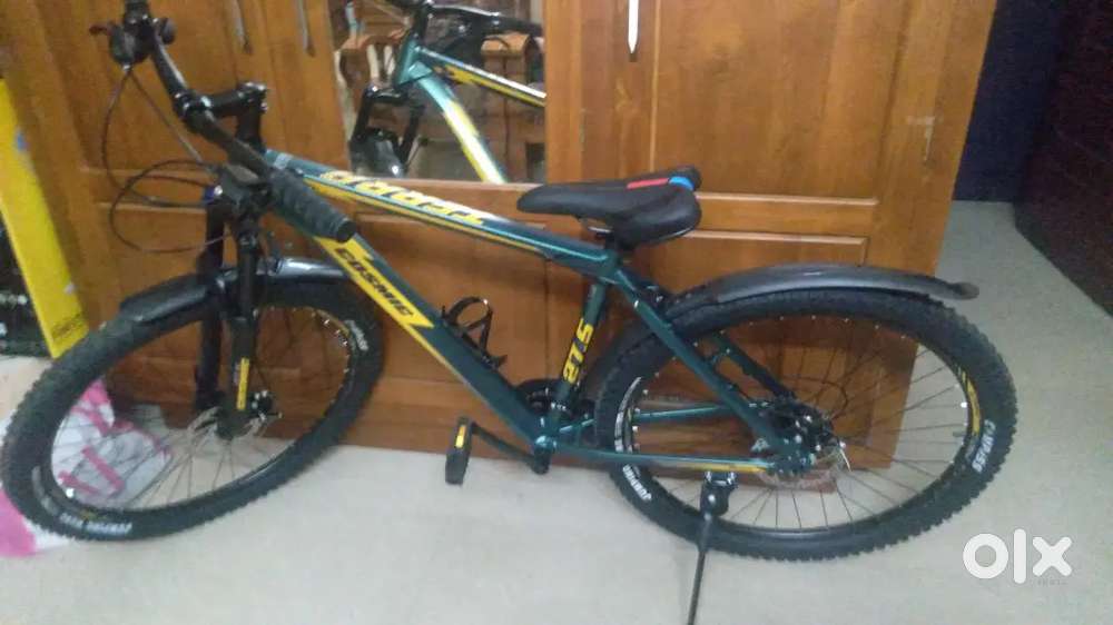 Cosmic terra (green colour)