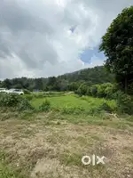 Thano hills