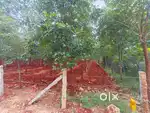 Sai properties & projects Ltd